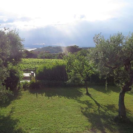 Il Gelso Di Barcuzzi Bed and Breakfast Lonato Zewnętrze zdjęcie