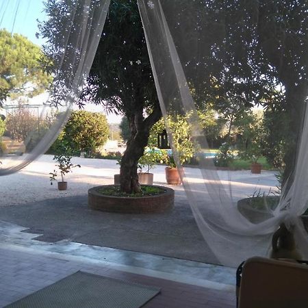 Il Gelso Di Barcuzzi Bed and Breakfast Lonato Zewnętrze zdjęcie