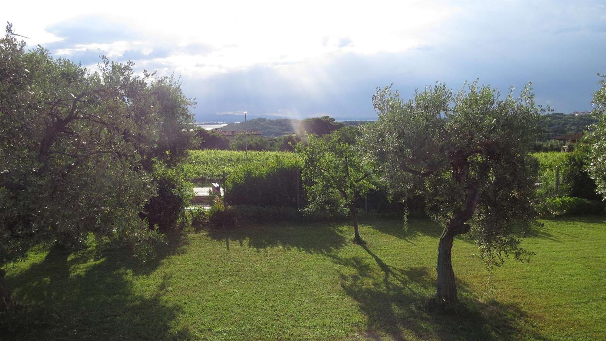 Il Gelso Di Barcuzzi Bed and Breakfast Lonato Zewnętrze zdjęcie
