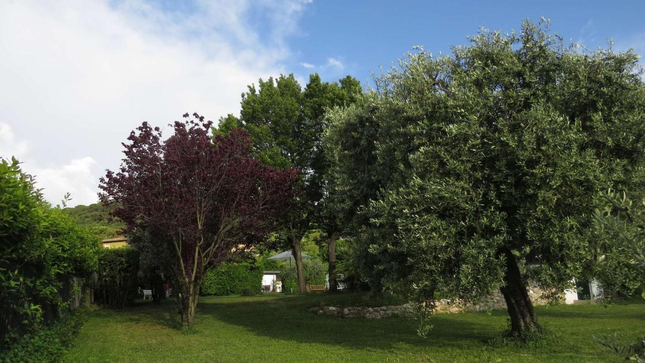 Il Gelso Di Barcuzzi Bed and Breakfast Lonato Zewnętrze zdjęcie
