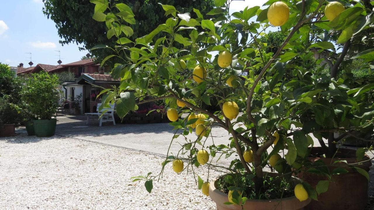 Il Gelso Di Barcuzzi Bed and Breakfast Lonato Zewnętrze zdjęcie