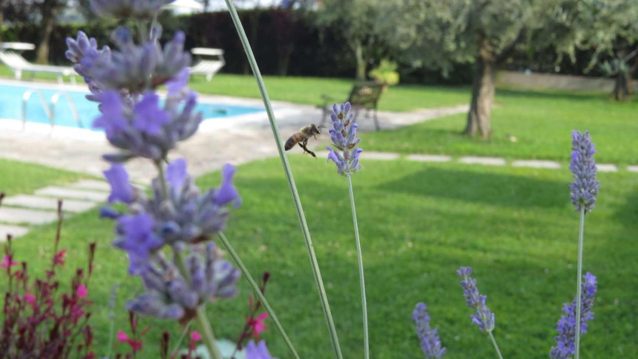 Il Gelso Di Barcuzzi Bed and Breakfast Lonato Zewnętrze zdjęcie