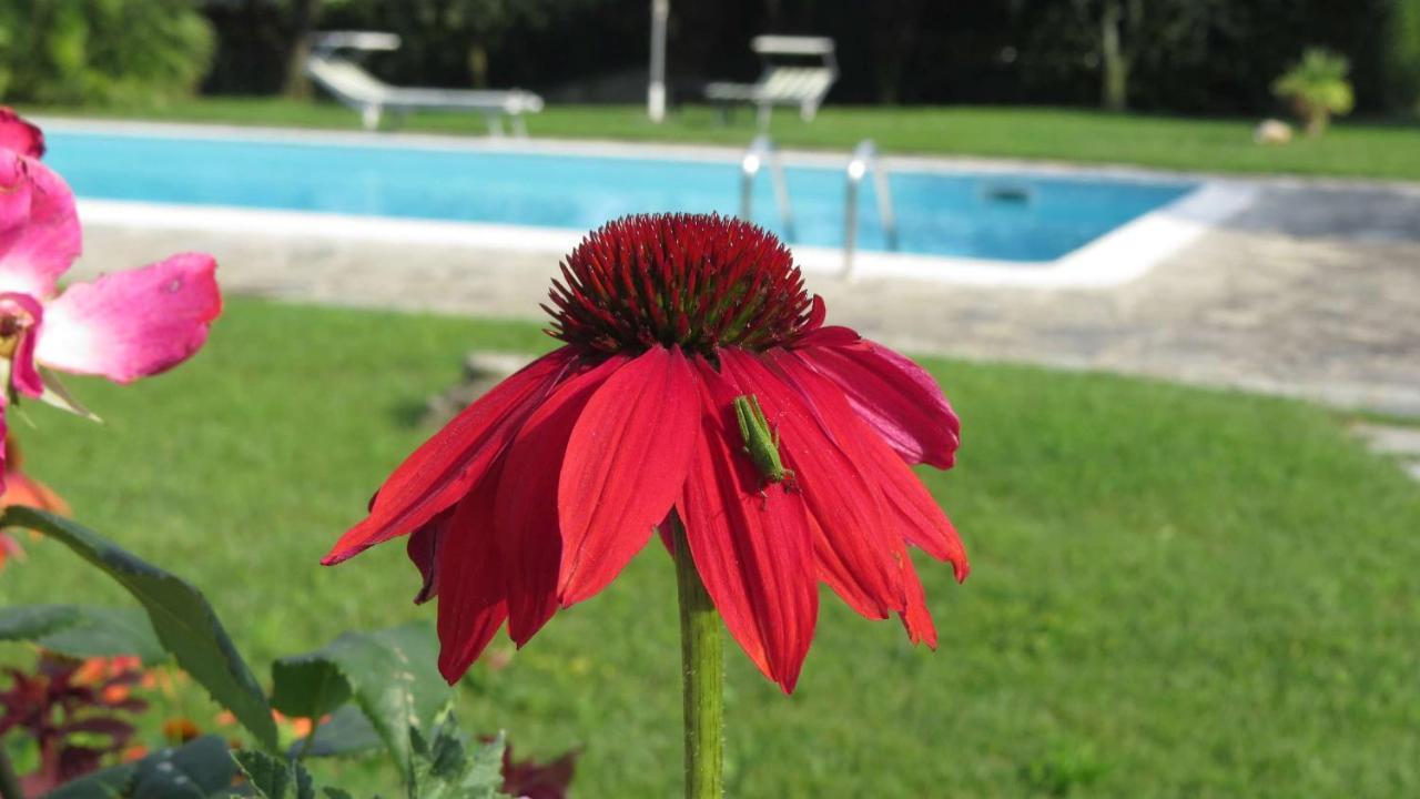 Il Gelso Di Barcuzzi Bed and Breakfast Lonato Zewnętrze zdjęcie