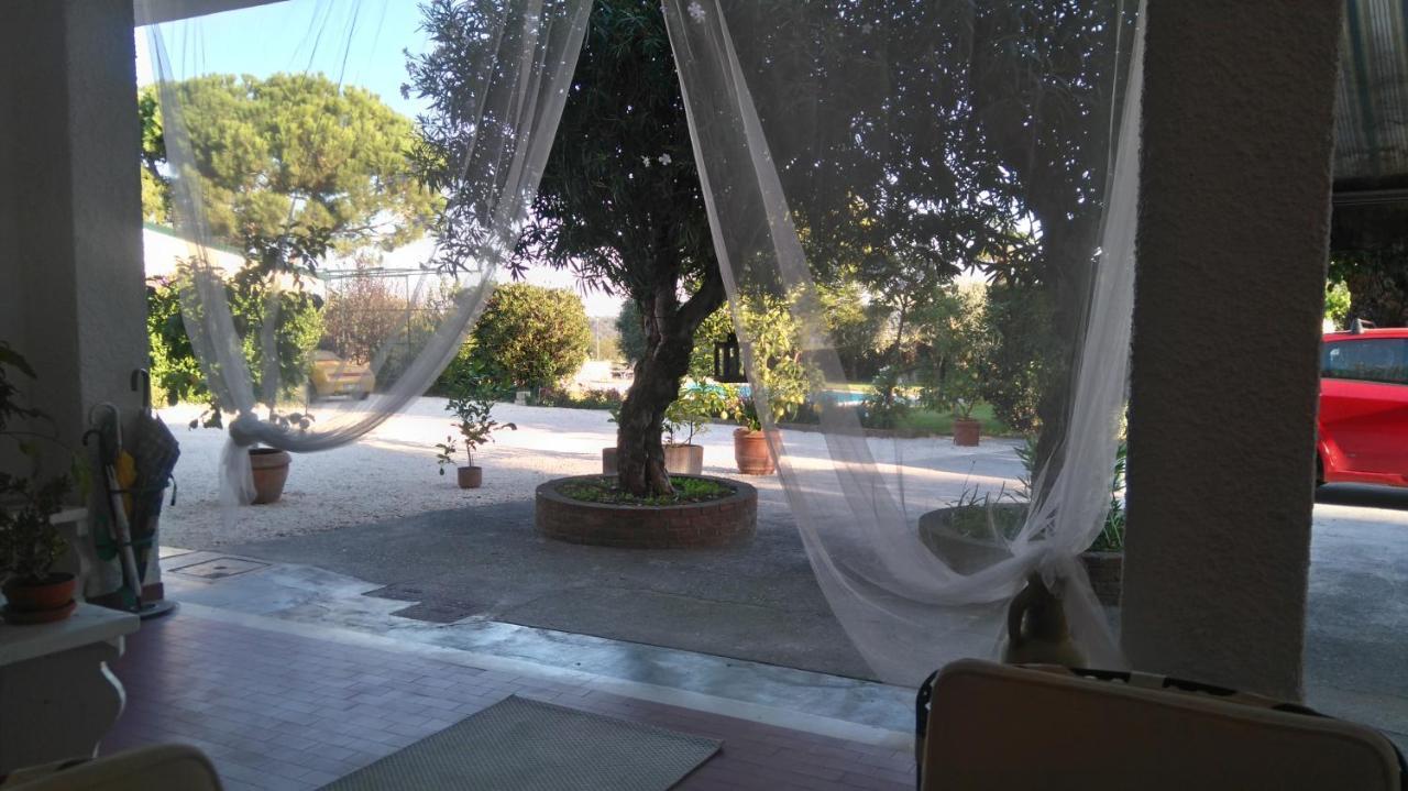 Il Gelso Di Barcuzzi Bed and Breakfast Lonato Zewnętrze zdjęcie